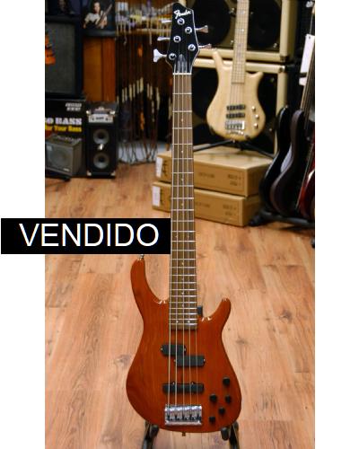 Fender Dimension Bass V